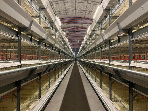 TechPro Broiler Cage System