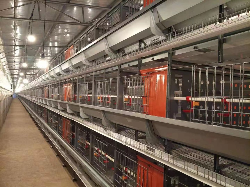 TechPro Breeder Cage System