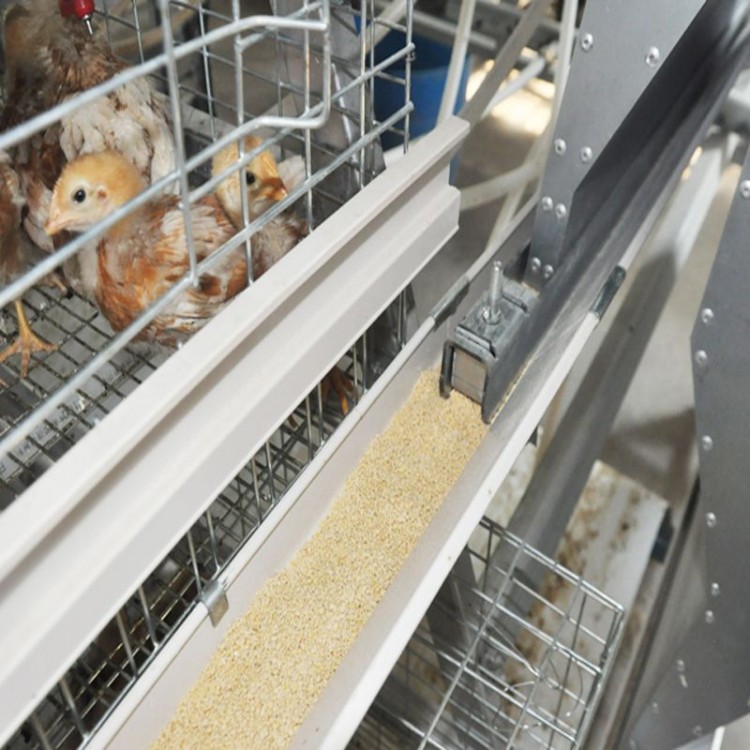 TechEasy Pullet Cage System