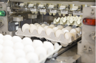 Technical Specifications