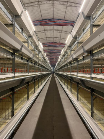 TechPro Broiler Cage System