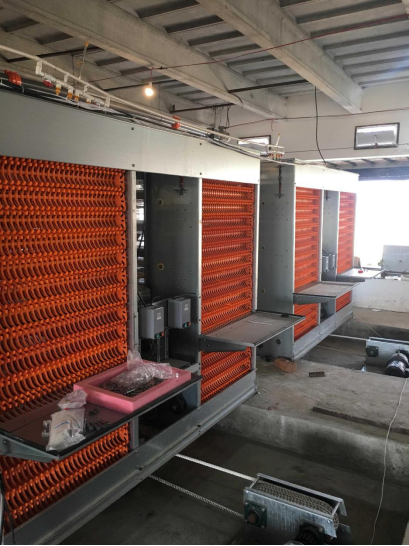 A型蛋鸡笼 - 图片 2