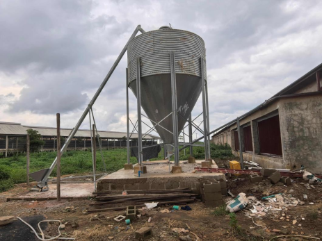 Gaiolas Poedeiras Estrutura H - Imagem 3