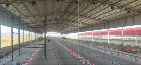100,000 Modern Broiler Farm in Abuja - Image 2