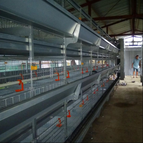 Modern Pullet Farm Project in Jakarta - Image 2