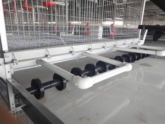 35,000 Automated Pullet Farm in Quito - Image 2