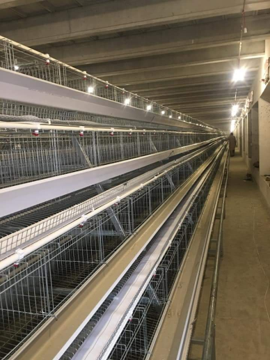 A Frame Automatic Layer Cages in Accra