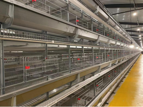 Manila 30,000 Birds Automation Project