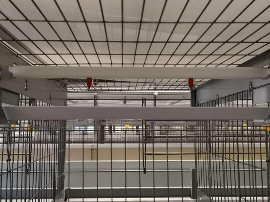 Manila 30,000 Birds Automation Project - Image 2