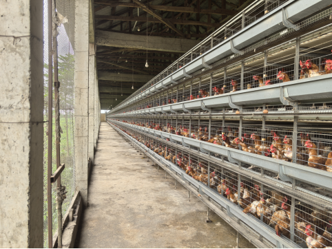 H Frame Automatic Layer Project in Lagos