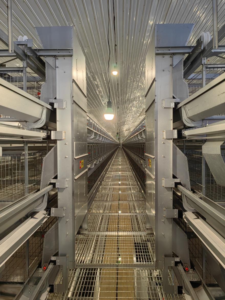 TechPro Layer Cage System